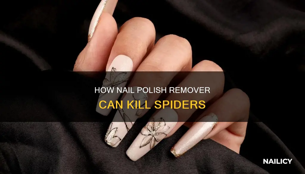 does nail polish remover kill spiders
