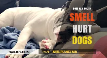 Can Nail Polish Fumes Harm Your Dog? What Pet Owners Need to Know