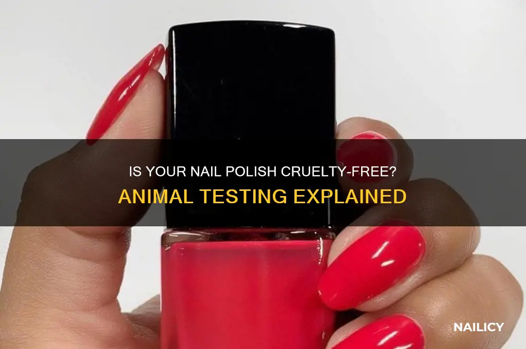 does nail polish test on animals