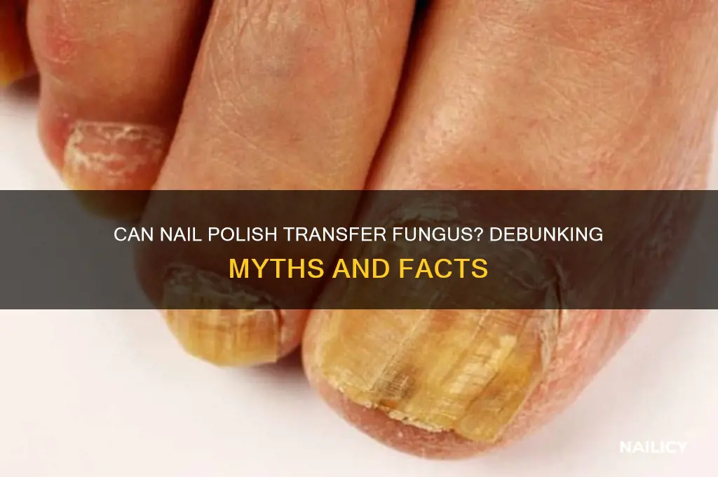 does nail polish transfer fungus