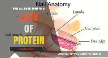 Nail Ridges and Protein Deficiency: Unraveling the Connection
