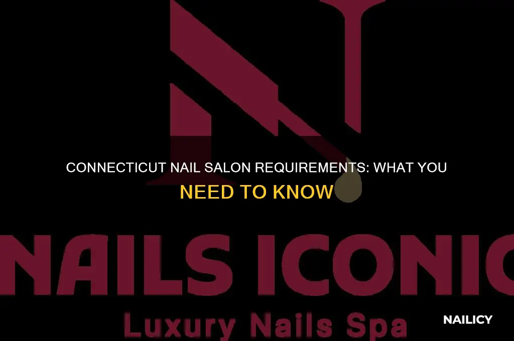 does nail salon requirements state of ct