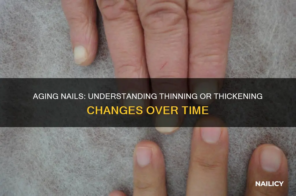 does nail thin or thicken as you age