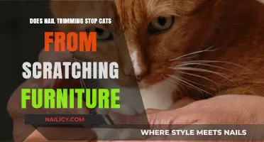 Trimming Nails: Can It Stop Cats From Scratching Furniture?