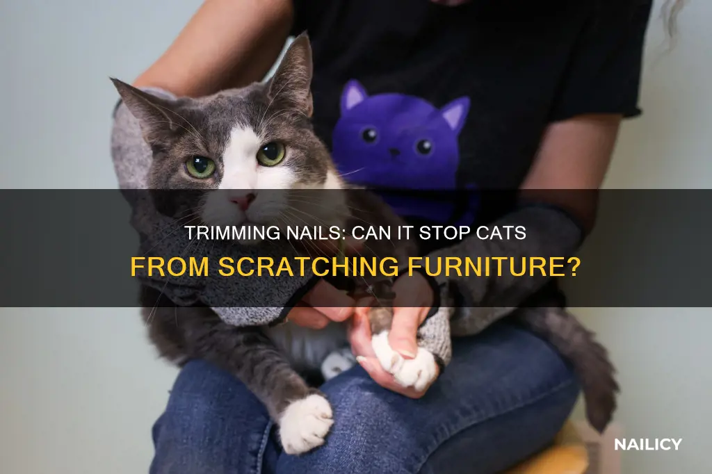 does nail trimming stop cats from scratching furniture
