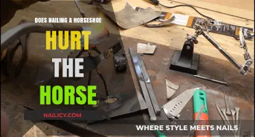 Does Nailing a Horseshoe Hurt Horses? Uncovering the Truth and Myths