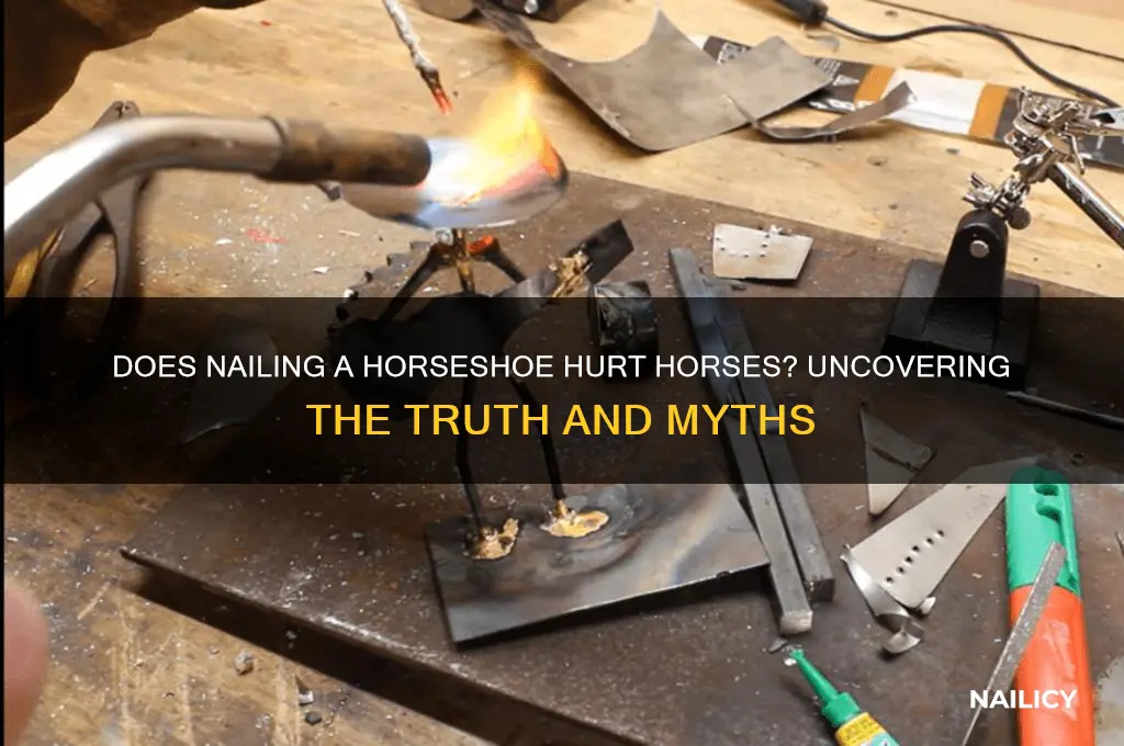 does nailing a horseshoe hurt the horse