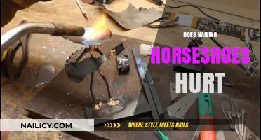 Does Nailing Horseshoes Hurt? Debunking Myths and Ensuring Equine Comfort