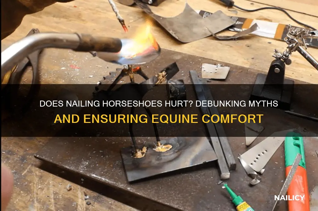 does nailing horseshoes hurt