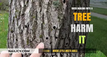 Nailing into Trees: Understanding the Impact on Tree Health and Longevity