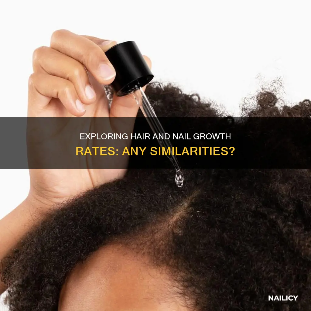 does nails and hair grow at the same rate
