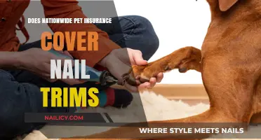 Nationwide Pet Insurance: Do Nail Trims Get Covered?