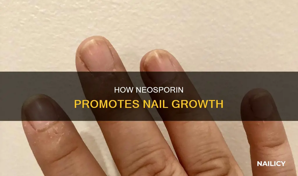 does neosporin help nails grow