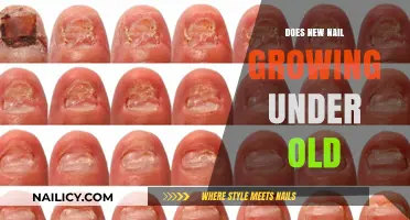 How Nails Grow: New Under Old