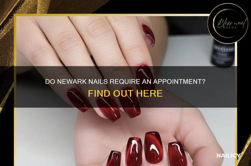 does newark nails require appointment