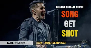 Unraveling the Mystery: Nine Inch Nails and 'Get Shot