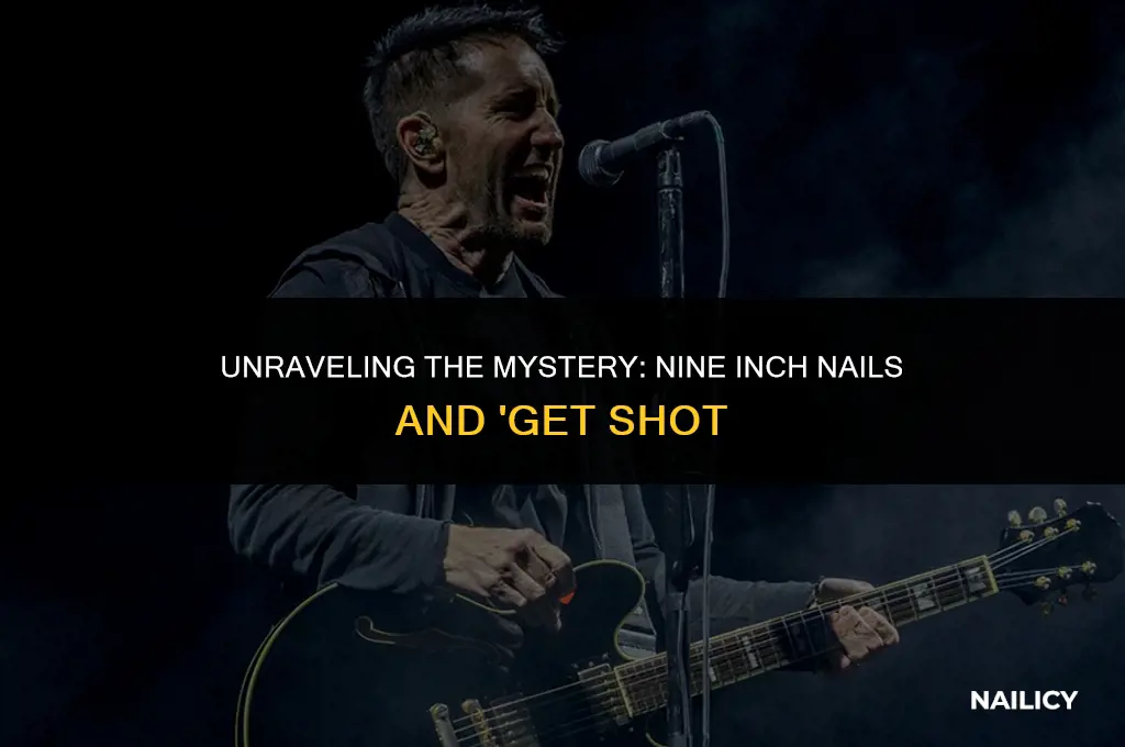 does nine inch nails sing the song get shot