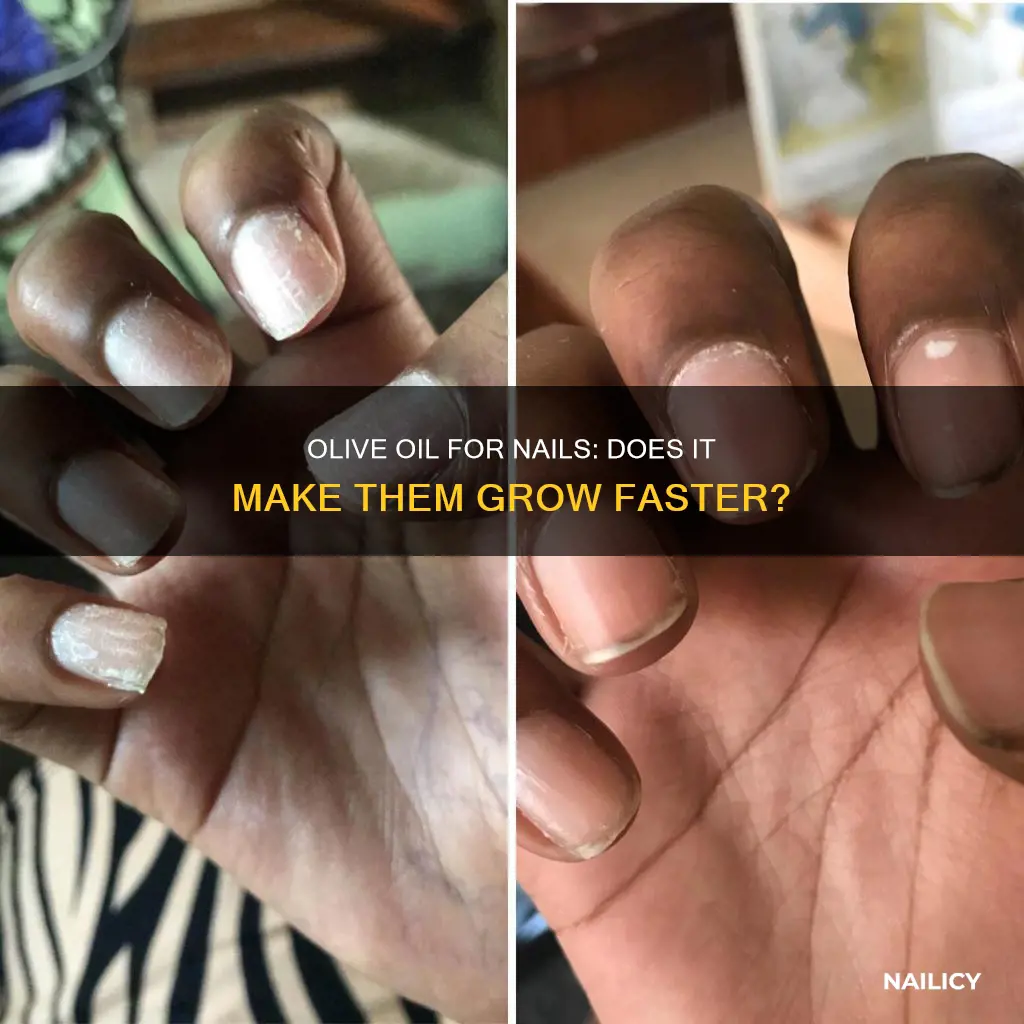 does olive oil make nails grow fast