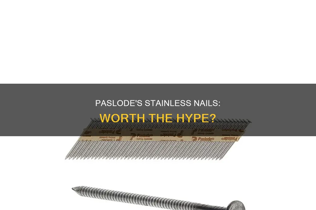 does paslode make a stainelss nail