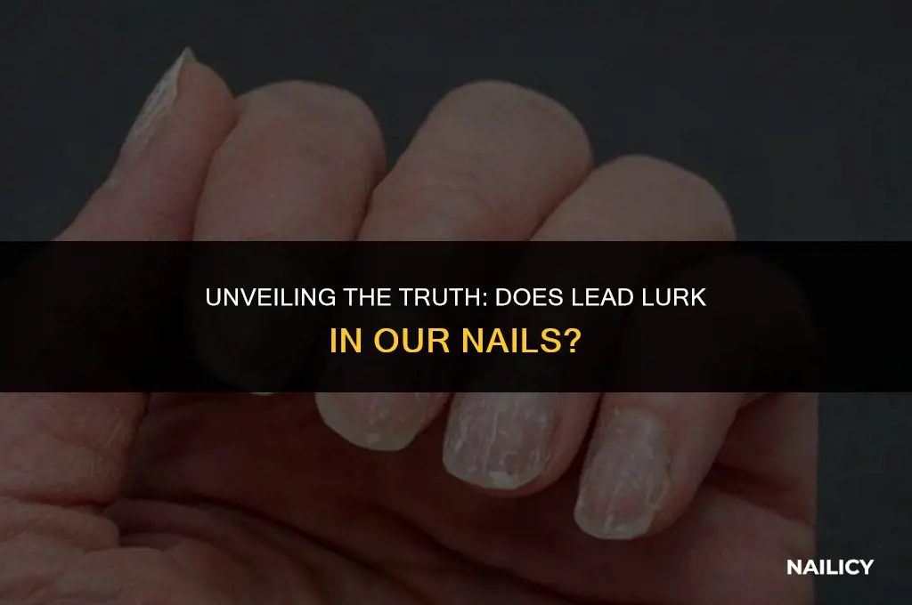 does pb get stored in our nails
