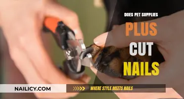 Pet Supplies Plus: Nail-Clipping Services for Your Furry Friends