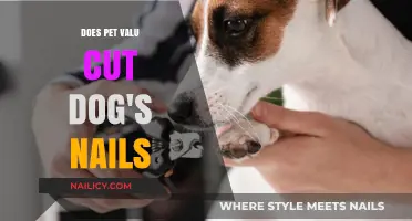 Pet Valu: Dog Nail Clipping Services and More