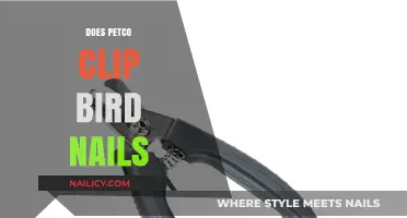 Petco Bird Nail Clipping: Services, Safety, and Care Explained