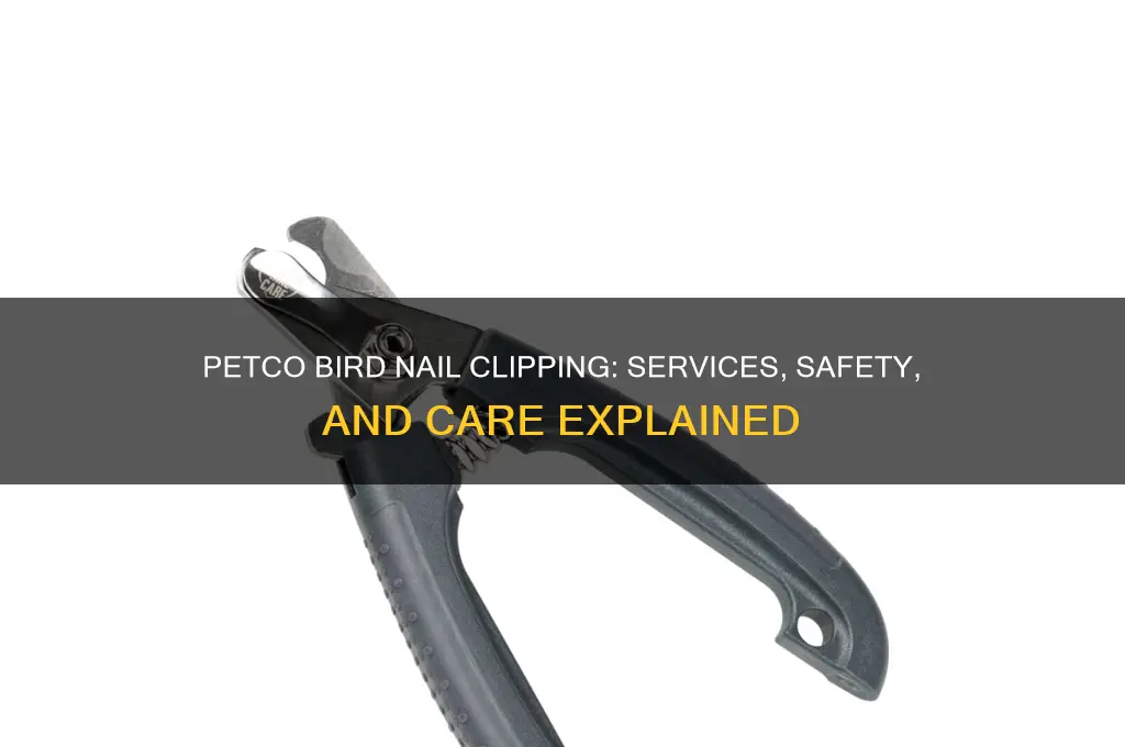 does petco clip bird nails