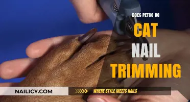 Petco Cat Nail Trimming: What You Need to Know
