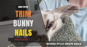 Petco's Bunny Nail Trimming Service: What You Need to Know