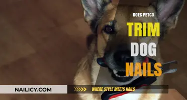 Petco's Dog Nail Trimming Services: What You Need to Know