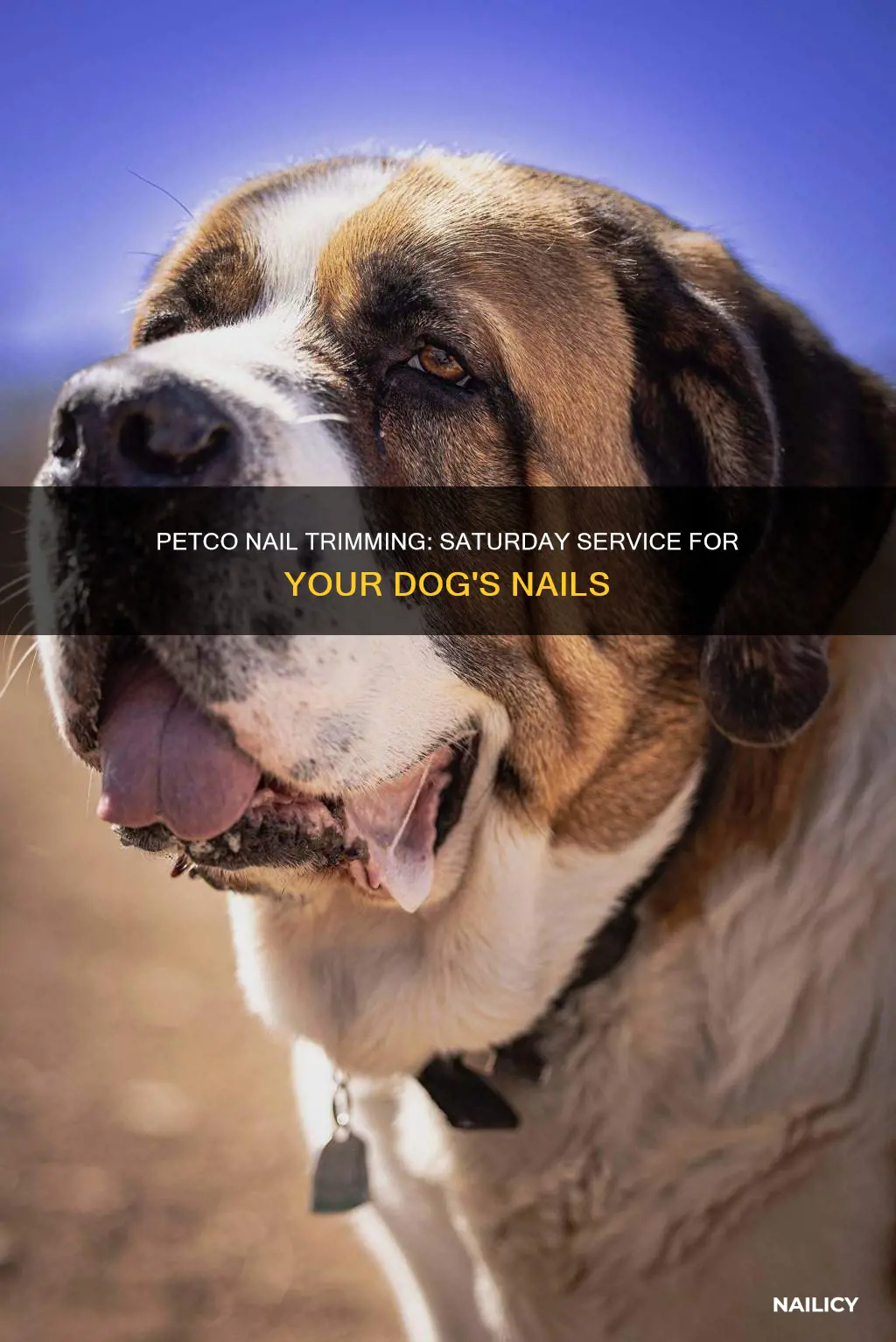 does petco trim dogs nails on saturdays