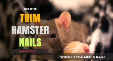 Petco's Hamster Nail Trimming Services: What You Need to Know