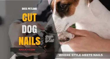 Petland's Dog Nail Clipping Services: Pros and Cons