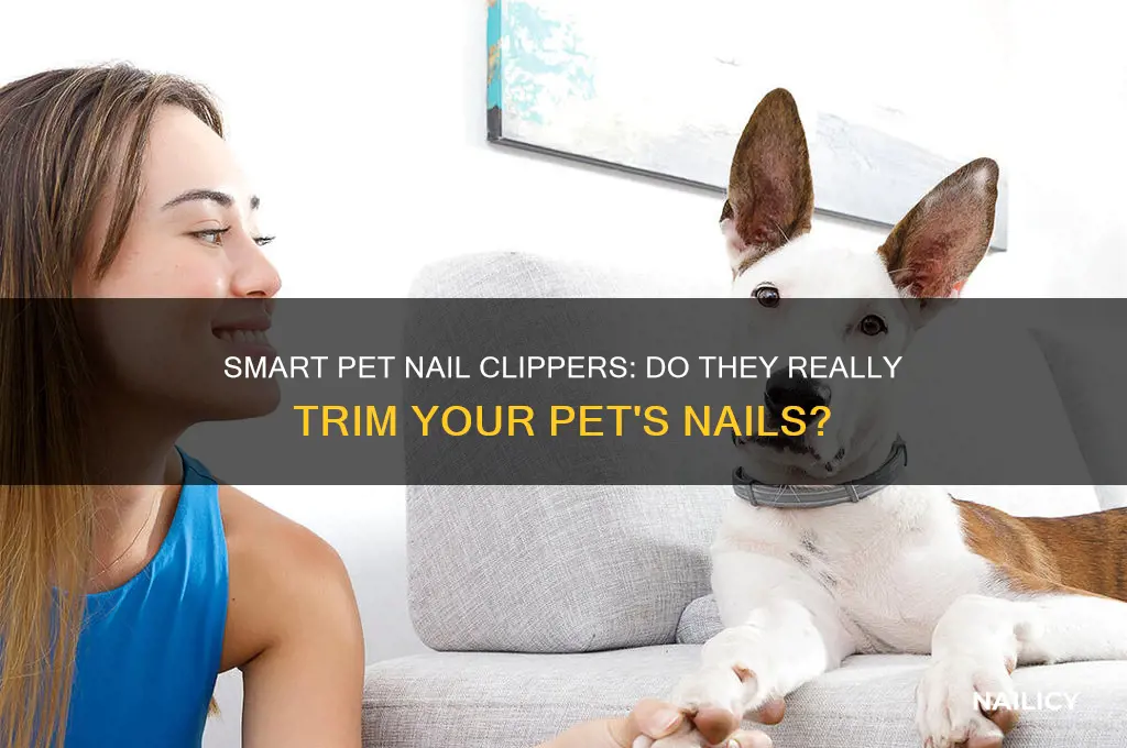 does pets smart clip nails