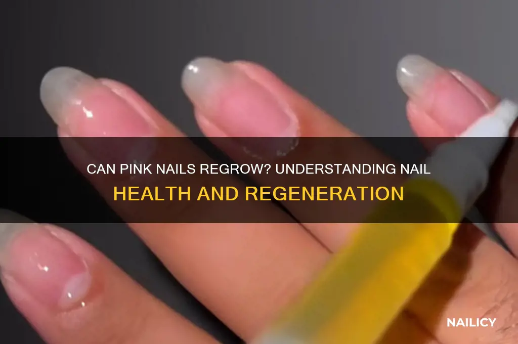 does pink nail regrow back