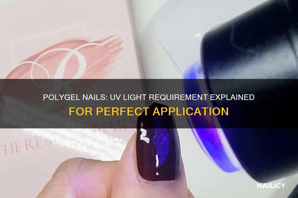 does polygel nails need a uv light