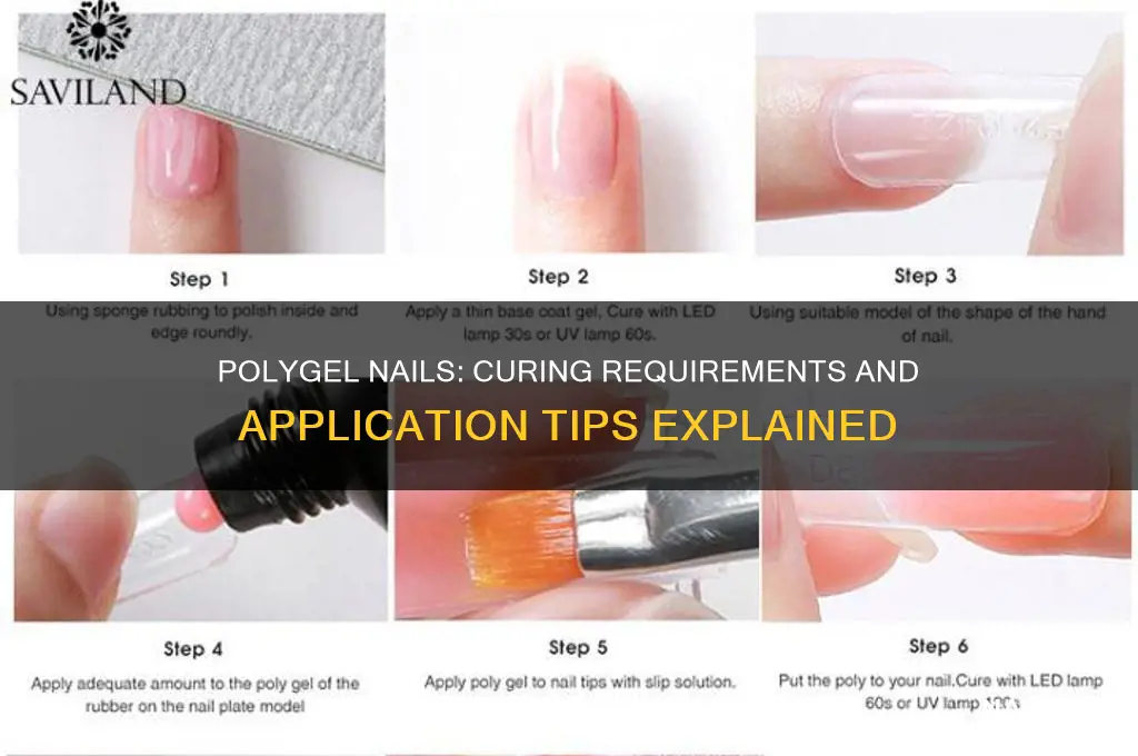 does polygel nails need to be cured
