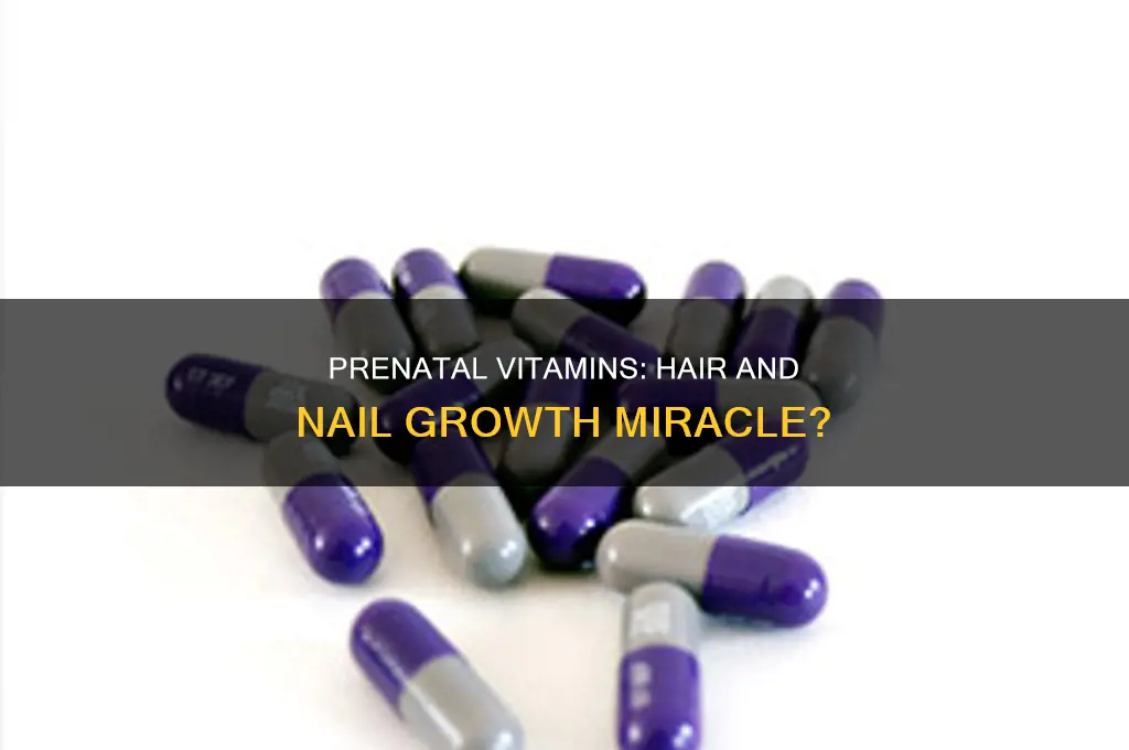 does prenatal vitamins make your hair and nails grow faster