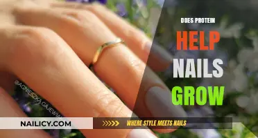 Protein-Rich Diet: The Secret to Stronger, Longer Nails