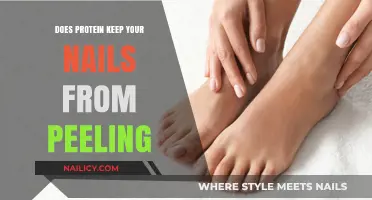 Protein's Role in Preventing Brittle, Peeling Nails: Fact or Fiction?