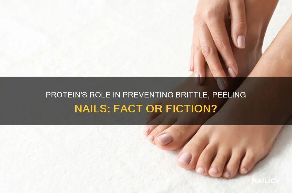 does protein keep your nails from peeling