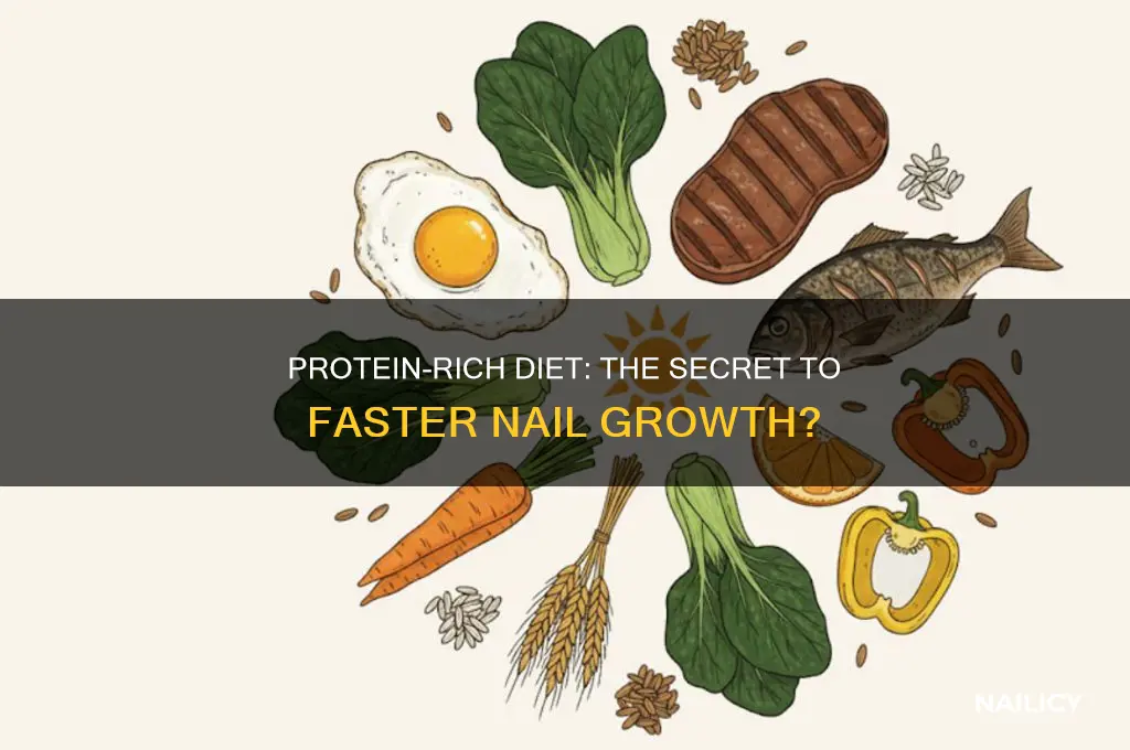 does protein make your nails grow faster