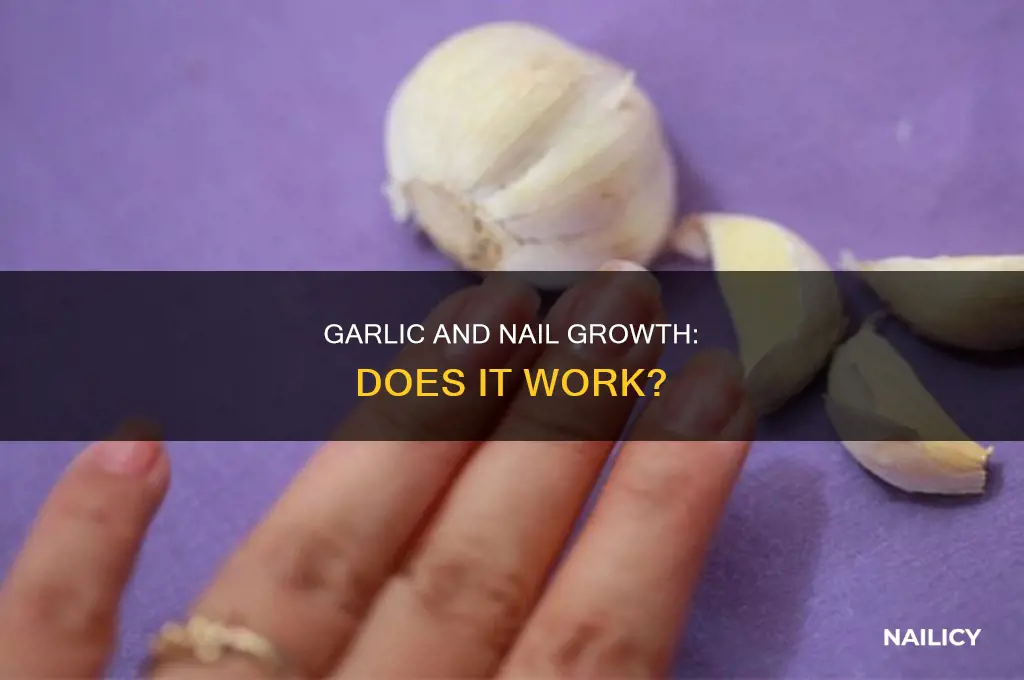 does putting garlic on your nails make them grow faster