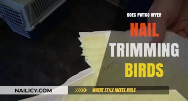 Pwtco: Nail Trimming Service for Birds?