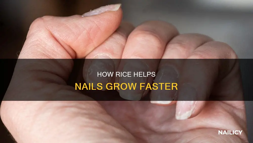 does rice make your nails grow fast