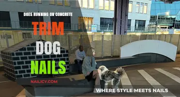 Running on Concrete: Trimming Dog Nails?