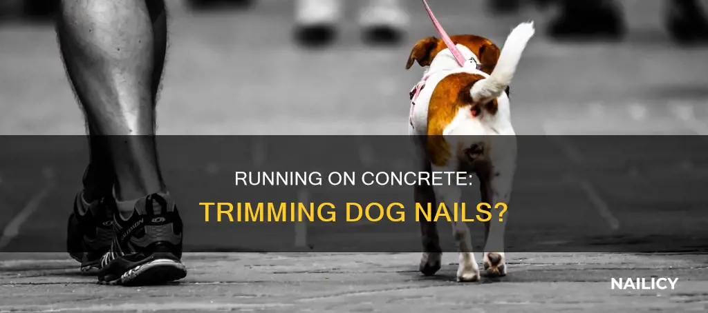 does running on concrete trim dog nails