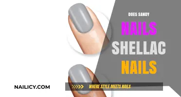 Sandy Nails vs. Shellac: Which Manicure Lasts Longer and Looks Better?
