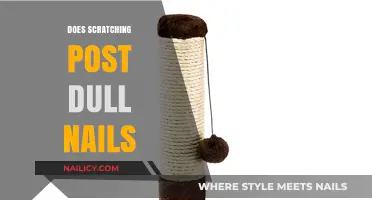 Scratching Posts and Nail Health: Do They Dull Your Cat's Claws?